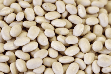 Small White Beans
