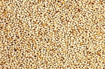 French White Millets