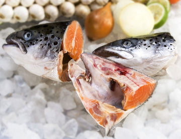 Frozen Atlantic Salmon Heads