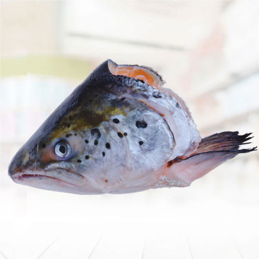 Frozen Atlantic Salmon Heads