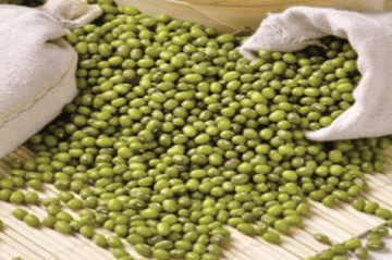 Green Mung Beans