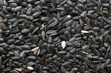 Black Sunflower Seeds