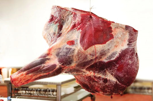 Beef Forequarters