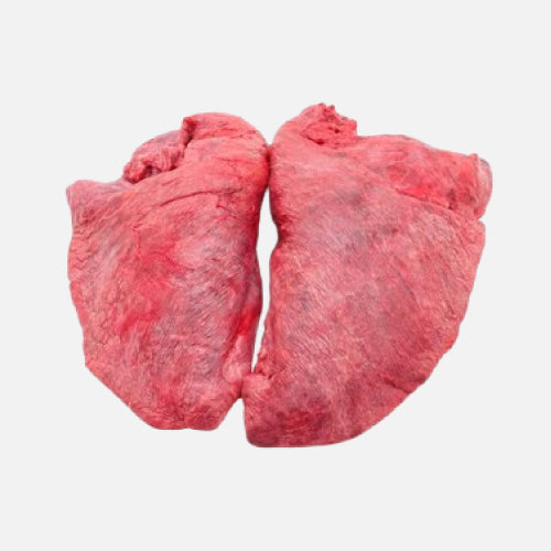 Lungs