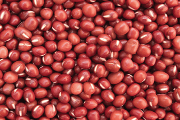 Red Sorghum