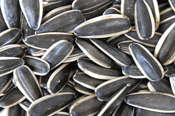 Striped Sunflower Seeds